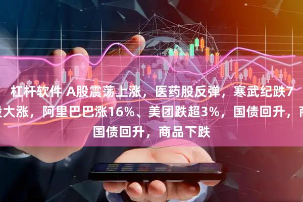 杠杆软件 A股震荡上涨，医药股反弹，寒武纪跌7%，港股大涨，阿里巴巴涨16%、美团跌超3%，国债回升，商品下跌