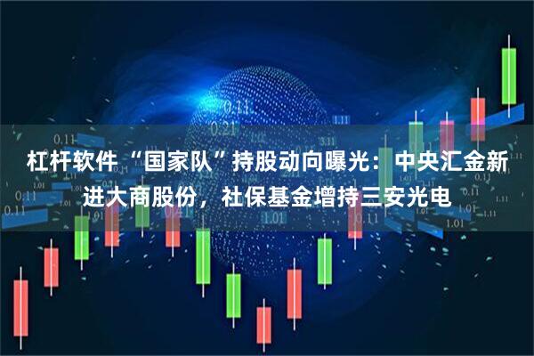 杠杆软件 “国家队”持股动向曝光：中央汇金新进大商股份，社保基金增持三安光电