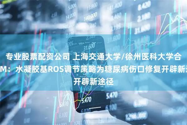 专业股票配资公司 上海交通大学/徐州医科大学合作AM：水凝胶基ROS调节策略为糖尿病伤口修复开辟新途径