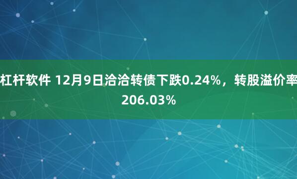 杠杆软件 12月9日洽洽转债下跌0.24%，转股溢价率206.03%